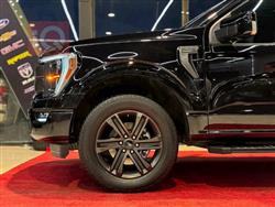 فۆرد F-150